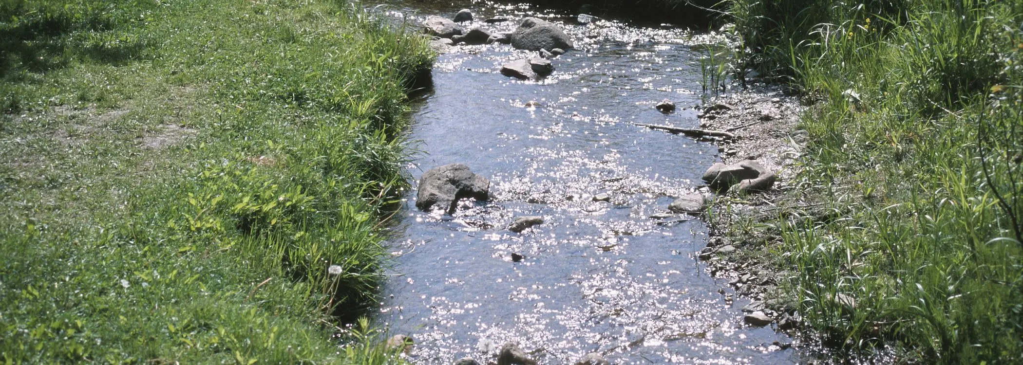 agua corriendo